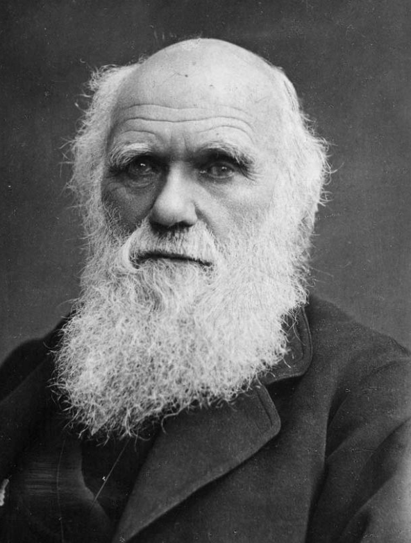 charles darwin influence on psychology